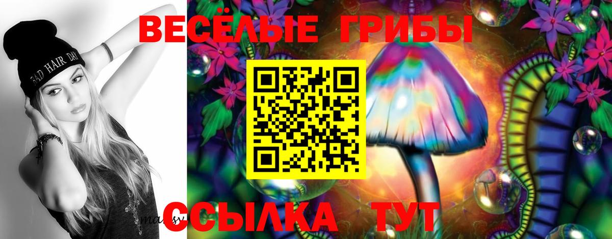 Псилоцибиновые грибы Psilocybe  Вход с VPN  Красноперекопск 